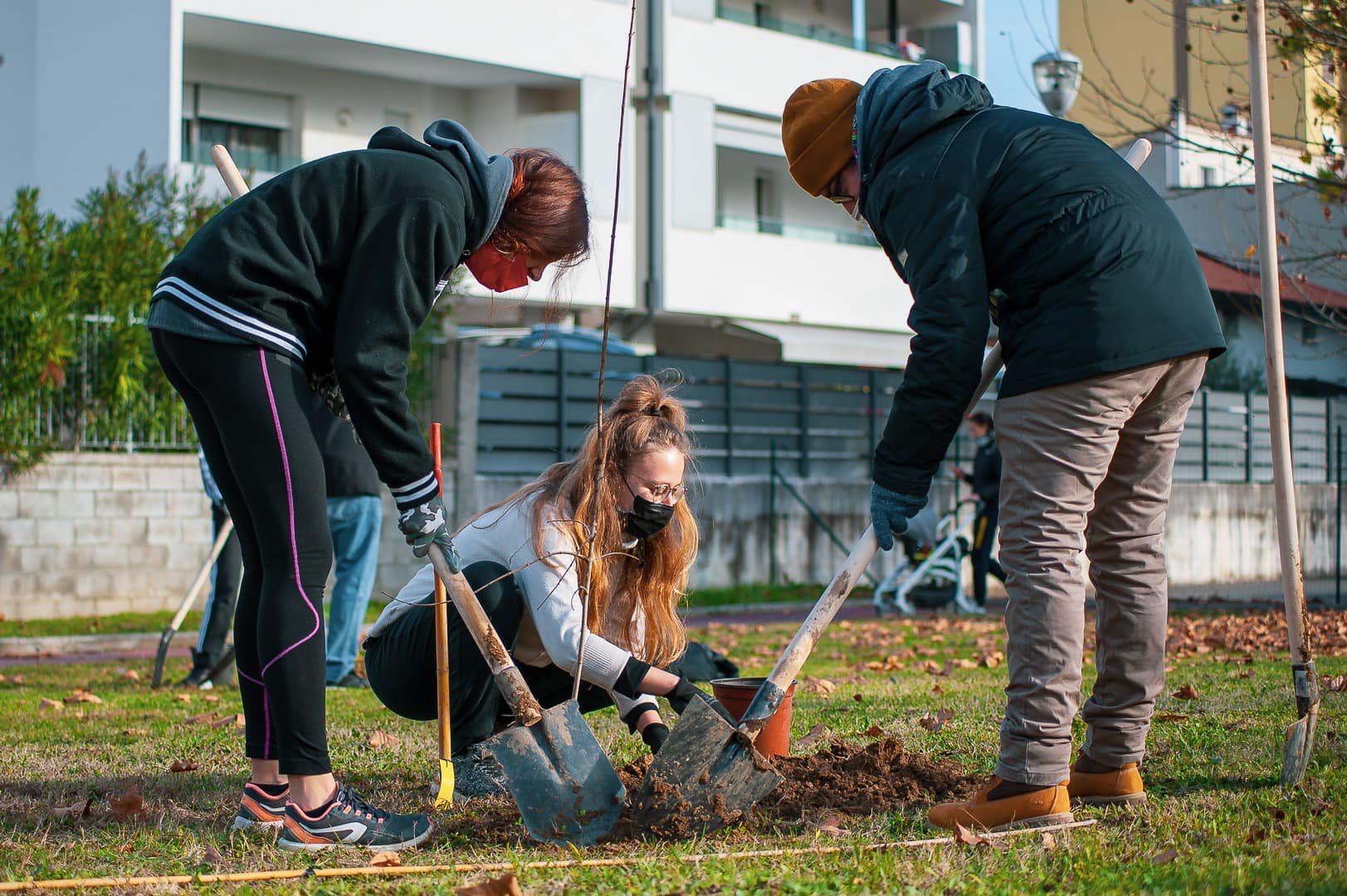 Immagine per A Monfalcone le gemme dell'albero di Falcone per il futuro del pianeta